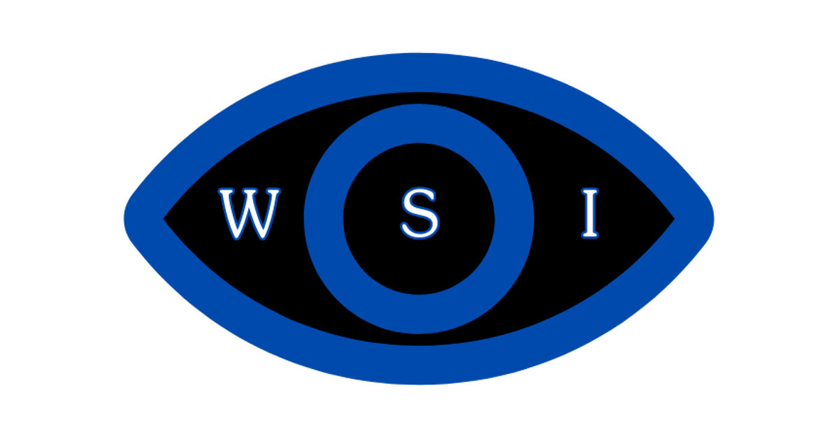 The Winston Smith Initiative Store